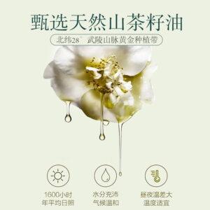 Edible oil sunflower seeds, Camellia oleifera seeds