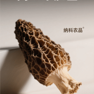 羊肚菌